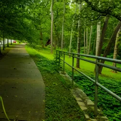 The Forest Park Cultural Arts Center - Forest Park