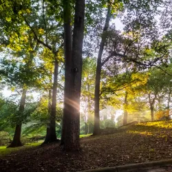 The Forest Park Cultural Arts Center - Forest Park