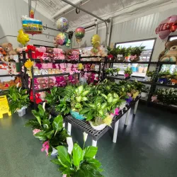 The Forest Park Farmers Market - Forest Park