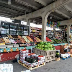 The Forest Park Farmers Market - Forest Park