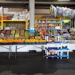 The Forest Park Farmers Market - Forest Park