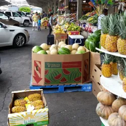 The Forest Park Farmers Market - Forest Park