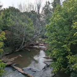 Big Indian Creek Greenway - Forsyth