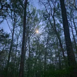 Big Indian Creek Greenway - Forsyth