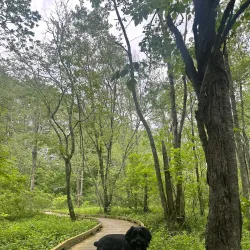 Big Indian Creek Greenway - Forsyth