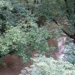 Big Indian Creek Greenway - Forsyth