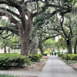 Forsyth City Park - Forsyth
