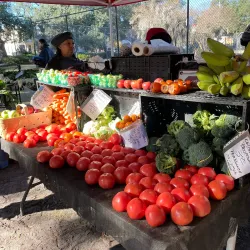 Forsyth Farmers Market - Forsyth