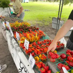 Forsyth Farmers Market - Forsyth