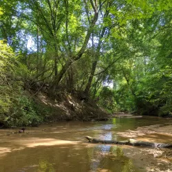 Indian Springs State Park - Forsyth