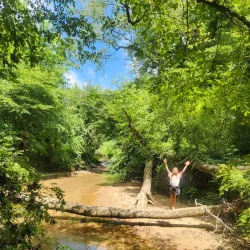 Indian Springs State Park - Forsyth