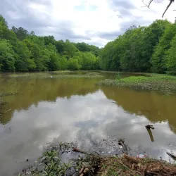 Lake Juliette - Forsyth