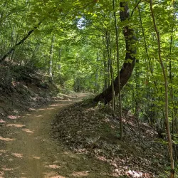 Chestnut Mountain Park - Gainesville