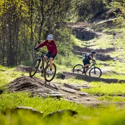 Chestnut Mountain Park - Gainesville