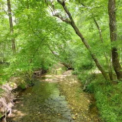 Don Carter State Park - Gainesville