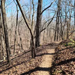 Don Carter State Park - Gainesville