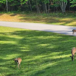 Don Carter State Park - Gainesville