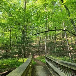Don Carter State Park - Gainesville