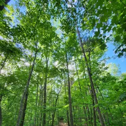 Elachee Nature Science Center - Gainesville