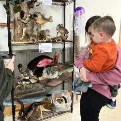 Elachee Nature Science Center - Gainesville