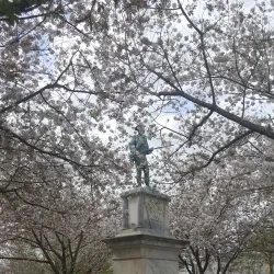 Gainesville Square - Gainesville