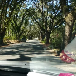 Hugh Mills Stadium - Gainesville