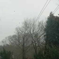 Lake Lanier - Gainesville