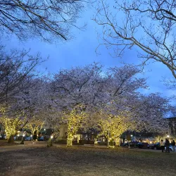Quincy Street Historic District - Gainesville