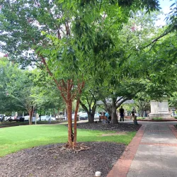 Quincy Street Historic District - Gainesville