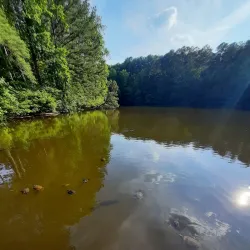Sims Lake Park - Gainesville