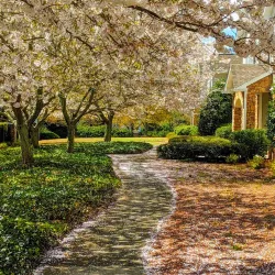 Downtown Kennesaw - Kennesaw