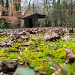 Downtown Kennesaw - Kennesaw