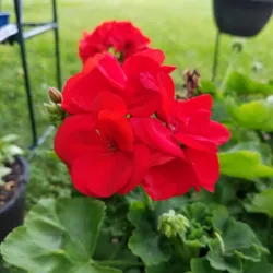 Downtown Kennesaw - Kennesaw