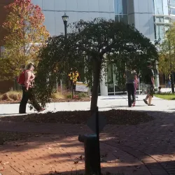 Kennesaw State University - Kennesaw