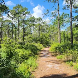 Crooked River State Park - Kingsland