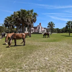 Cumberland Island National Seashore - Kingsland