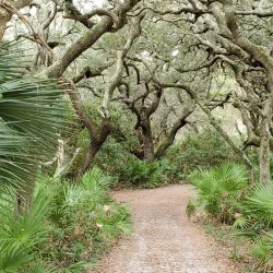 Cumberland Island National Seashore - Kingsland