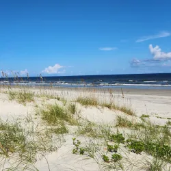 Cumberland Island National Seashore - Kingsland