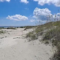 Cumberland Island National Seashore - Kingsland