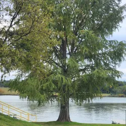 Kingsland Community Park - Kingsland