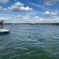 Kingsland Community Park - Kingsland