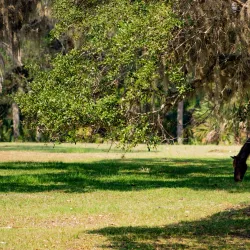 Kingsland Welcome Center - Kingsland