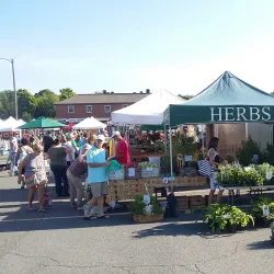 Leesburg Farmers Market - Leesburg