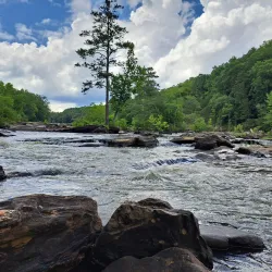 Sweetwater Creek State Park - Marietta