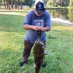 Monroe City Park - Monroe