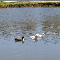 Monroe City Park - Monroe