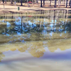 Monroe City Park - Monroe