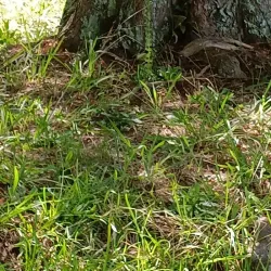 Monroe Golf Club - Monroe