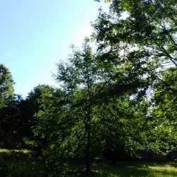 Monroe Golf Club - Monroe