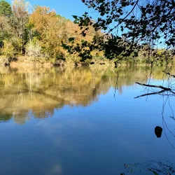 Chattahoochee River National Recreation Area (nearby) - Newnan